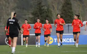 Player Profiles & Updates